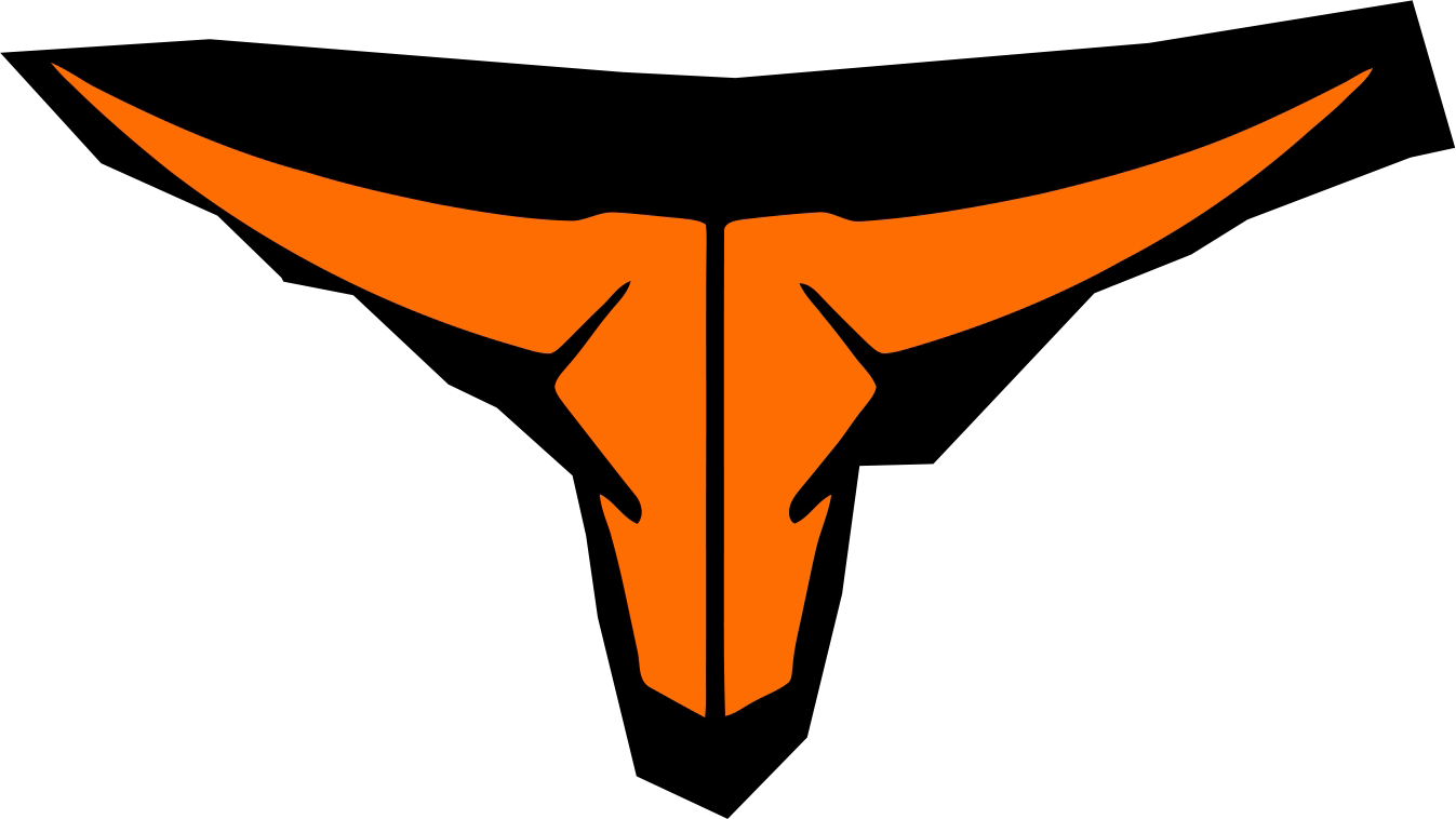 Longhorn Roofing